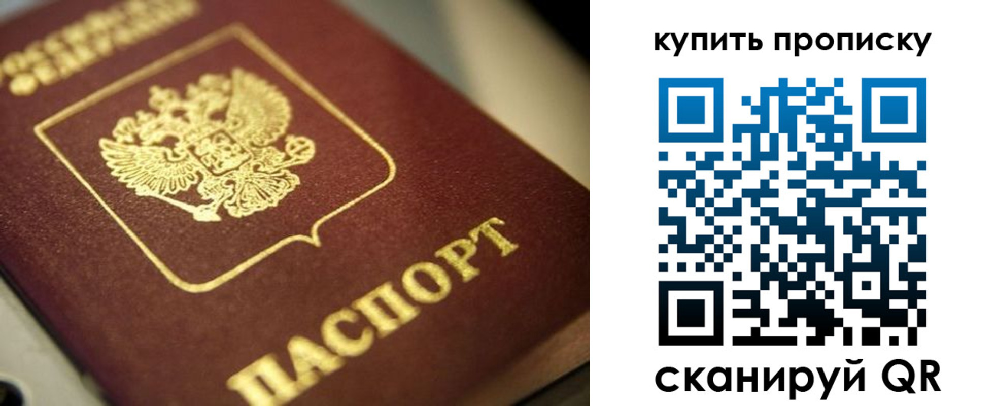 прописка поиск в Охе